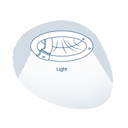 illustration_inner_ring_light illustration_inner_ring_light